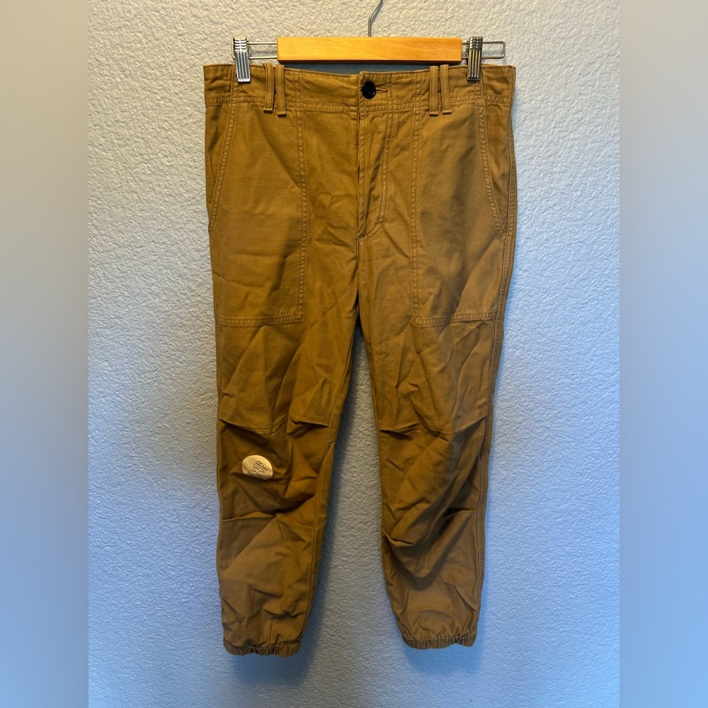 Citizens Of Humanity Brown Cargo Pants